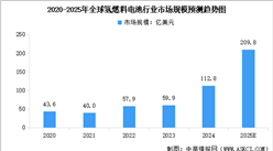 2025年中國氫燃料電池行業(yè)市場前景預(yù)測研究報告（簡版）