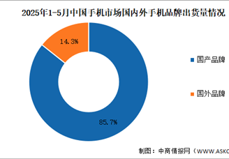 2025年1-5月中国手机行业国内外品牌出货量及上市情况分析（图）