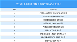 產(chǎn)業(yè)投資情報(bào)：2025年上半年中國(guó)投資拿地TOP100企業(yè)排行榜（產(chǎn)業(yè)篇）