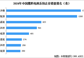 2025年中國氫燃料電池市場規(guī)模預(yù)測及行業(yè)競爭格局分析（圖）