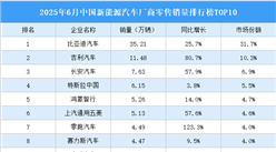 2025年6月中國(guó)新能源汽車廠商零售銷量排行榜TOP10（附榜單）
