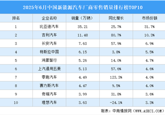 2025年6月中国新能源汽车厂商零售销量排行榜TOP10（附榜单）
