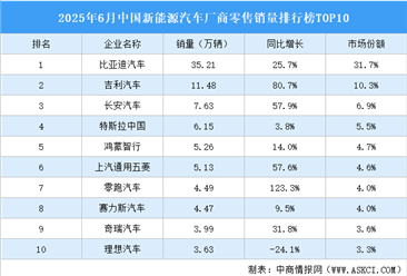 2025年6月中国新能源汽车厂商零售销量排行榜TOP10（附榜单）