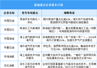 2025年中國原油產(chǎn)量及企業(yè)布局情況預(yù)測分析（圖）
