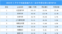 2025年上半年中國(guó)新能源汽車廠商零售銷量排行榜TOP10（附榜單）