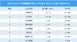 2025年6月中國磷酸鐵鋰動力電池企業(yè)裝車量排行榜TOP10（附榜單）
