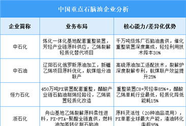2025年中国石脑油重点企业业务布局预测分析（图）