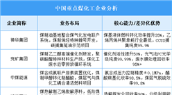 2025年中國(guó)煤化工重點(diǎn)企業(yè)業(yè)務(wù)布局預(yù)測(cè)分析（圖）