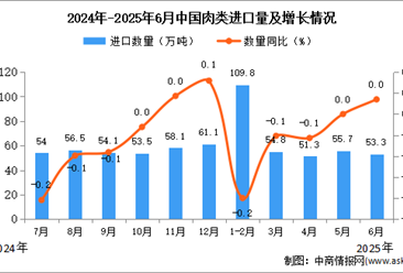 2025年6月中国肉类进口数据统计分析：进口量53.3万吨