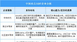 2025年中國IGBT重點(diǎn)企業(yè)業(yè)務(wù)布局預(yù)測分析（圖）