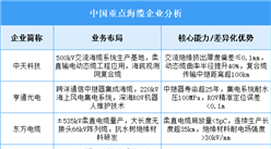 2025年中國海纜重點企業(yè)業(yè)務(wù)布局預測分析（圖）