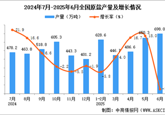 2025年6月全國原鹽產(chǎn)量數(shù)據(jù)統(tǒng)計分析