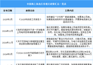 2025年中國海上風(fēng)電行業(yè)最新政策匯總一覽（圖）