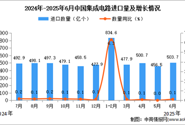 2025年6月中国集成电路进口数据统计分析：进口量503.7亿个