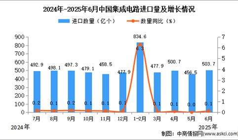 2025年6月中国集成电路进口数据统计分析：进口量503.7亿个