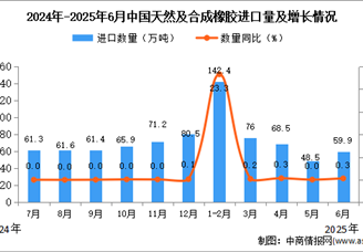 2025年6月中国天然及合成橡胶进口数据统计分析：进口量59.9万吨