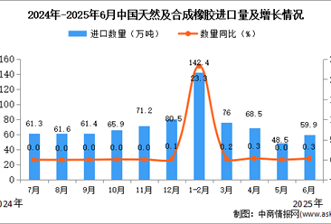 2025年6月中国天然及合成橡胶进口数据统计分析：进口量59.9万吨