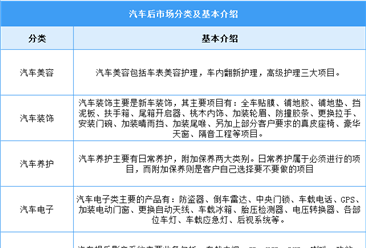 2025年中国汽车后市场行业市场前景预测研究报告（简版）