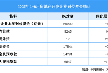 2025年1-6月全国房地产开发经营和销售情况（附图表）