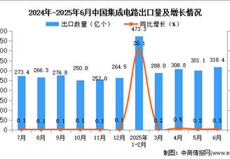 2025年6月中国集成电路出口数据统计分析：出口量同比增长0.3%