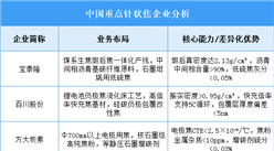 2025年中國針狀焦重點(diǎn)企業(yè)業(yè)務(wù)布局預(yù)測(cè)分析（圖）
