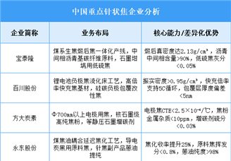 2025年中國(guó)針狀焦重點(diǎn)企業(yè)業(yè)務(wù)布局預(yù)測(cè)分析（圖）