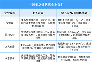 2025年中国针状焦重点企业业务布局预测分析（图）