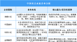 2025年中國水泥重點企業(yè)業(yè)務布局預測分析（圖）