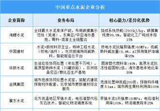2025年中國水泥重點(diǎn)企業(yè)業(yè)務(wù)布局預(yù)測分析（圖）