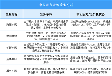 2025年中國(guó)水泥重點(diǎn)企業(yè)業(yè)務(wù)布局預(yù)測(cè)分析（圖）