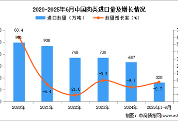 2025年1-6月中国肉类进口数据统计分析：进口量320万吨