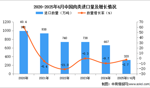 2025年1-6月中国肉类进口数据统计分析：进口量320万吨