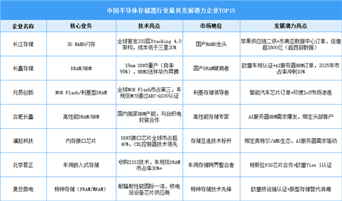 2025年中国半导体存储器行业最具发展潜力企业（附名单）