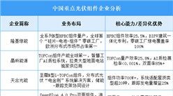 2025年中國光伏組件重點(diǎn)企業(yè)業(yè)務(wù)布局預(yù)測分析（圖）