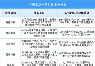 2025年中國光伏組件重點企業(yè)業(yè)務(wù)布局預(yù)測分析（圖）