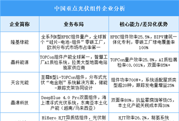 2025年中國(guó)光伏組件重點(diǎn)企業(yè)業(yè)務(wù)布局預(yù)測(cè)分析（圖）