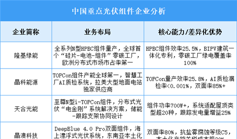 2025年中国光伏组件重点企业业务布局预测分析（图）