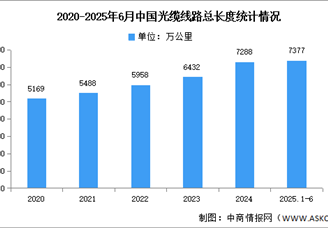 2025年1-6月中国通信业通信能力情况分析（附光纤、光缆、5G基站分析）