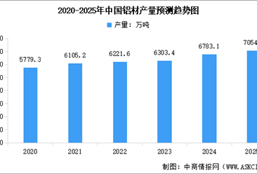 2025年中国铝行业市场前景预测研究报告（简版）