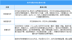2025年中國光纖光纜行業(yè)市場前景預測研究報告（簡版）
