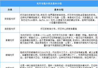 2025年中國光纖光纜行業(yè)市場前景預(yù)測研究報(bào)告（簡版）
