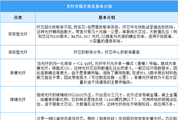 2025年中国光纤光缆行业市场前景预测研究报告（简版）