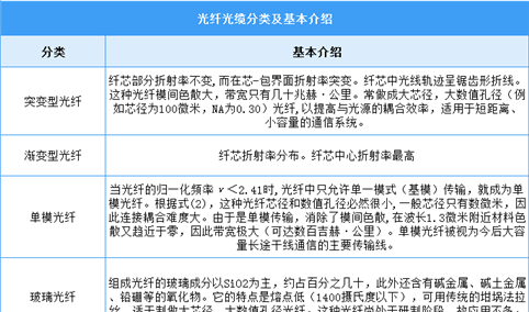 2025年中国光纤光缆行业市场前景预测研究报告（简版）