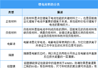 2025年中国锂电材料行业市场前景预测研究报告（简版）