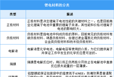 2025年中国锂电材料行业市场前景预测研究报告（简版）