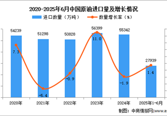 2025年1-6月中國原油進(jìn)口數(shù)據(jù)統(tǒng)計分析：進(jìn)口量小幅增長