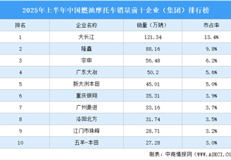 2025年上半年中國燃油摩托車銷量前十企業(yè)（集團(tuán)）排行榜（附榜單）