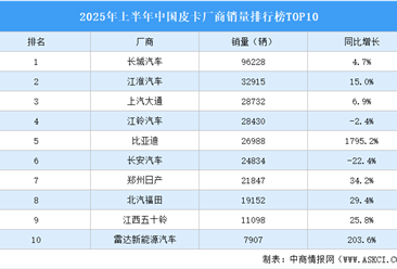 2025年上半年中国皮卡厂商销量排行榜TOP10（附榜单）