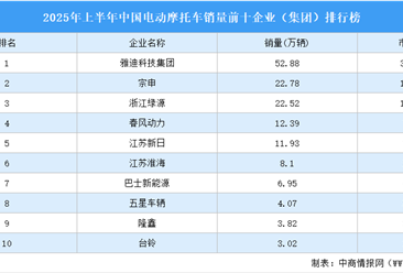 2025年上半年中国电动摩托车销量前十企业（集团）排行榜（附榜单）