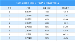 2025年6月中國(guó)皮卡廠商銷量排行榜TOP10（附榜單）